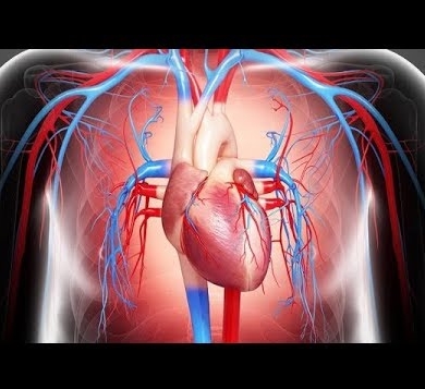 Congestive Heart Failure (CHF)