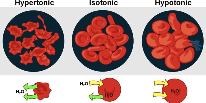 Isotonicity and pH calculation